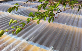 02 - Dacheindeckung mit Wellplatten aus Acrylglas 3mm Stärke Struktur Wabe-farblos